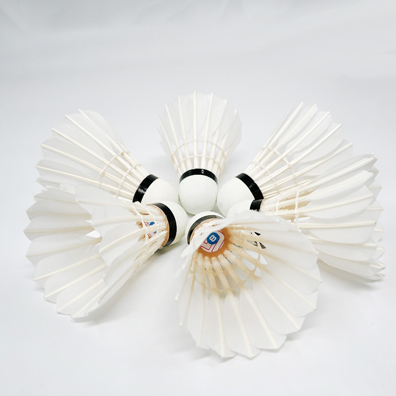 Bulu Angsa G8 Tradisional untu - Badminton Championship ulasan dan harga
